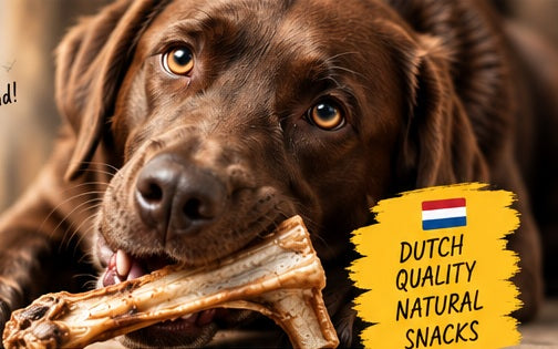 Natural Dog Snacks - contact